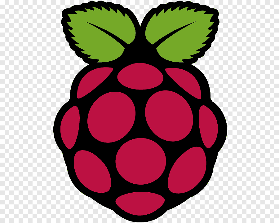 Raspberry pi